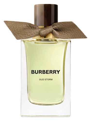 burberry dla kobiet|Burberry clothing for men.